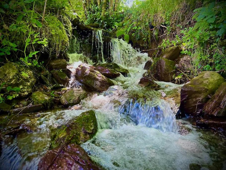 Bergerie De Lasariberes Gazost  ภายนอก รูปภาพ